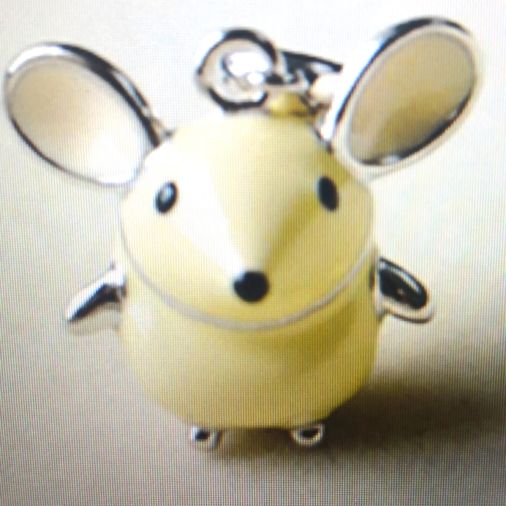 2022Charm Enamel mouse 🐁 Necklace Bracelet.